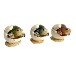 Hatching Turtles (Pkg. 6)