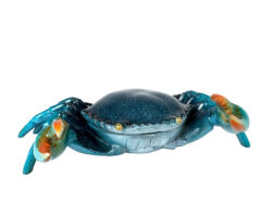 Crab Box - Blue (Min. 2)